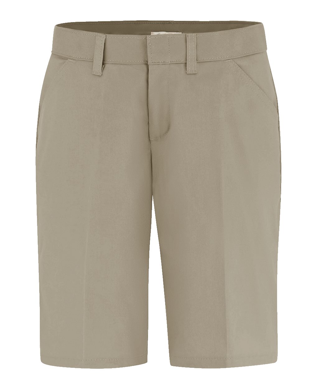 Dickies FR22