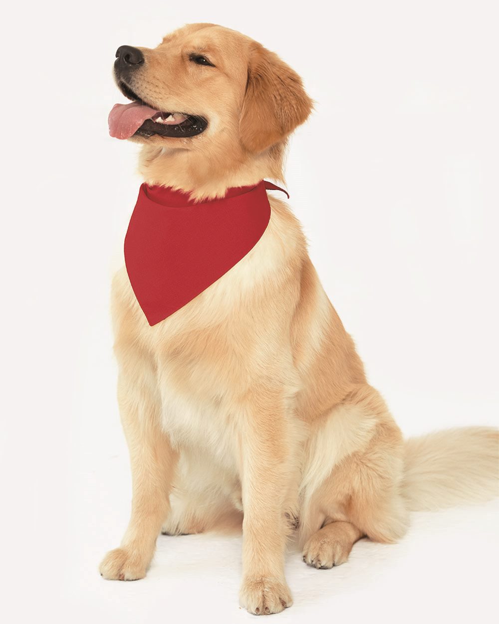 Doggie Skins 3905