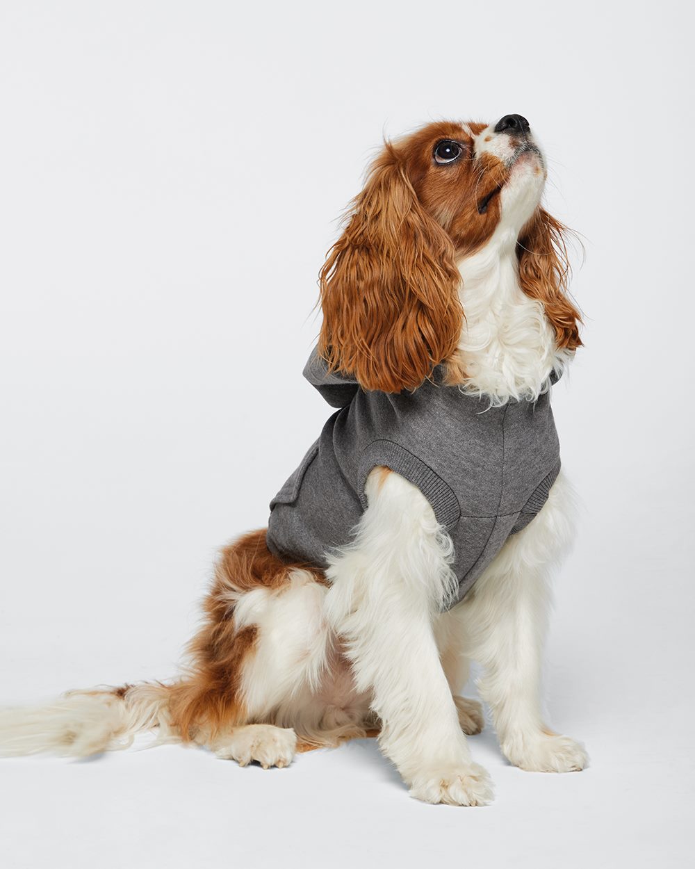 Doggie Skins 3926