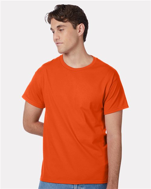 Hanes 5250